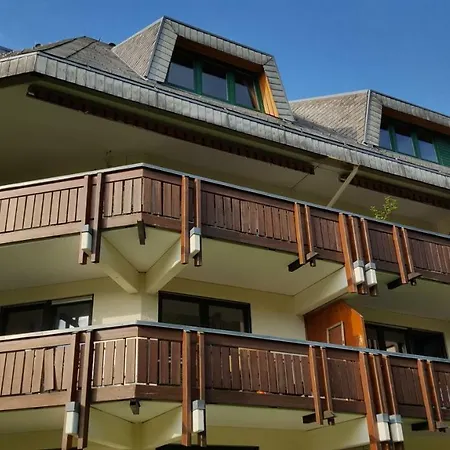 Ferienwohnung Im Schwarzwald *