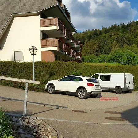 Apartment Ferienwohnung Im Schwarzwald Todtmoos